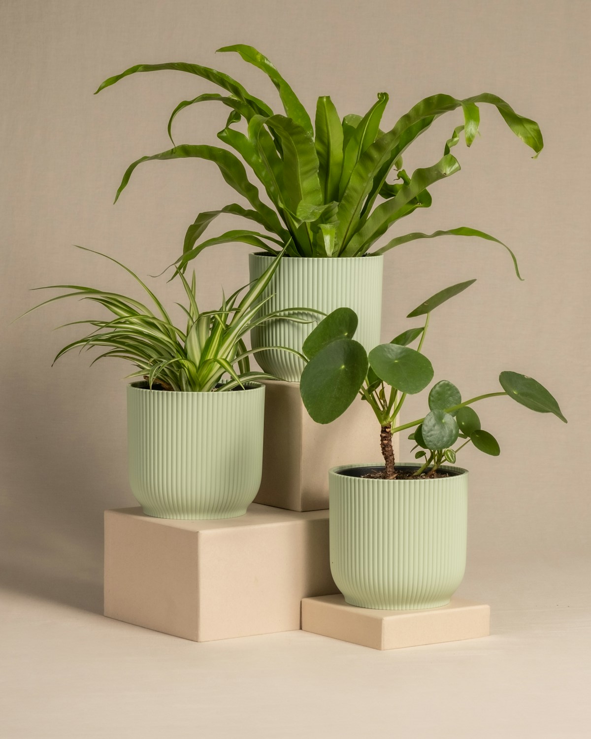 Stoneware Planter Large