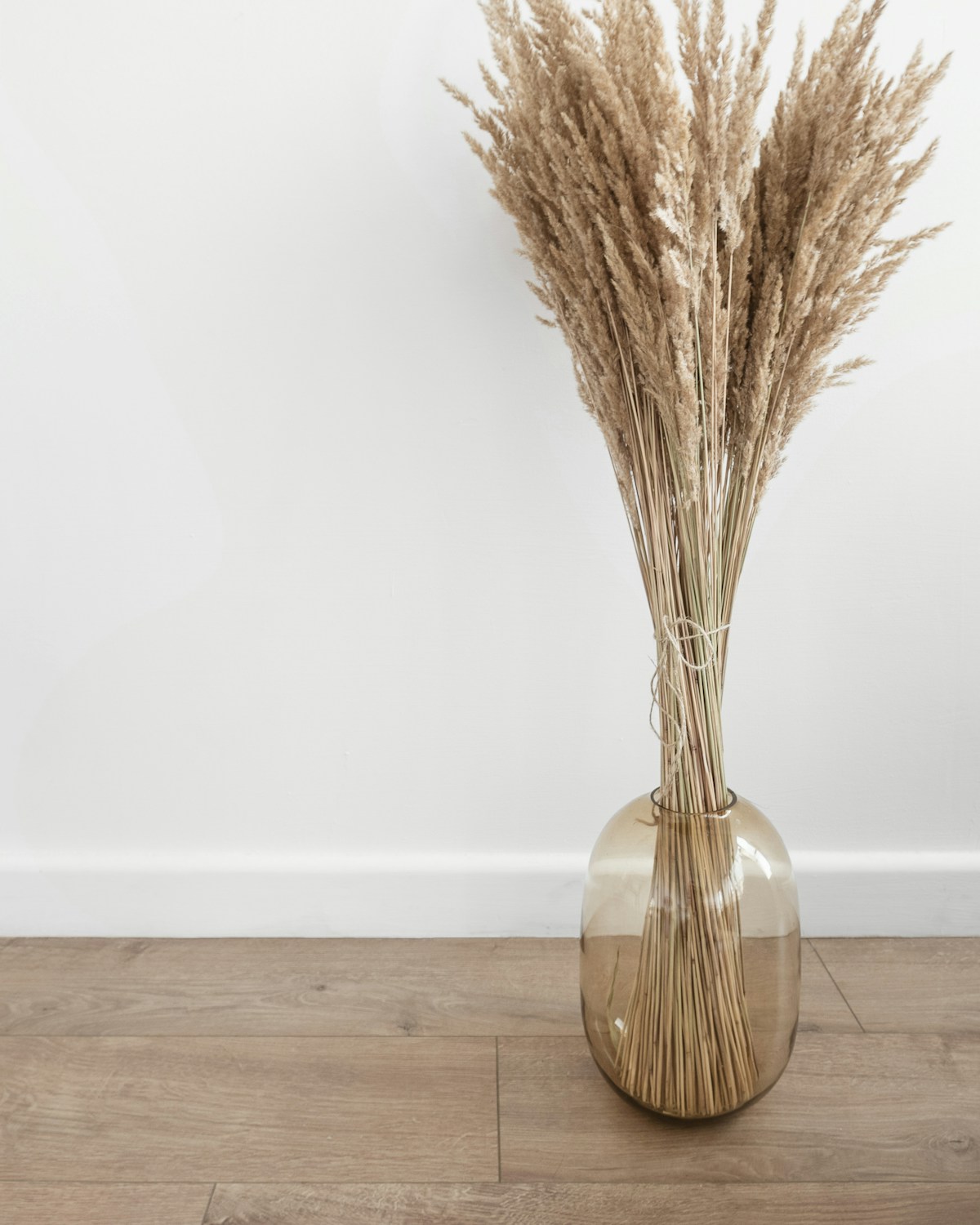 Dried Pampas Bundle