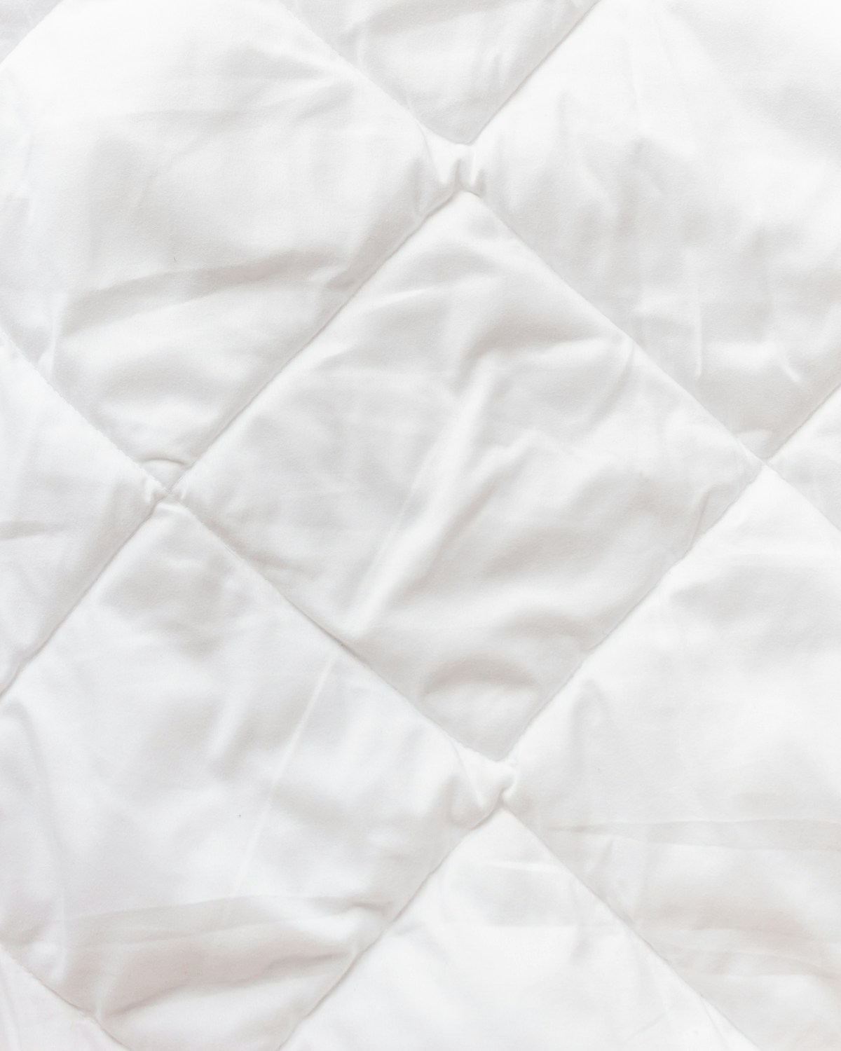 Quilted Coverlet Set